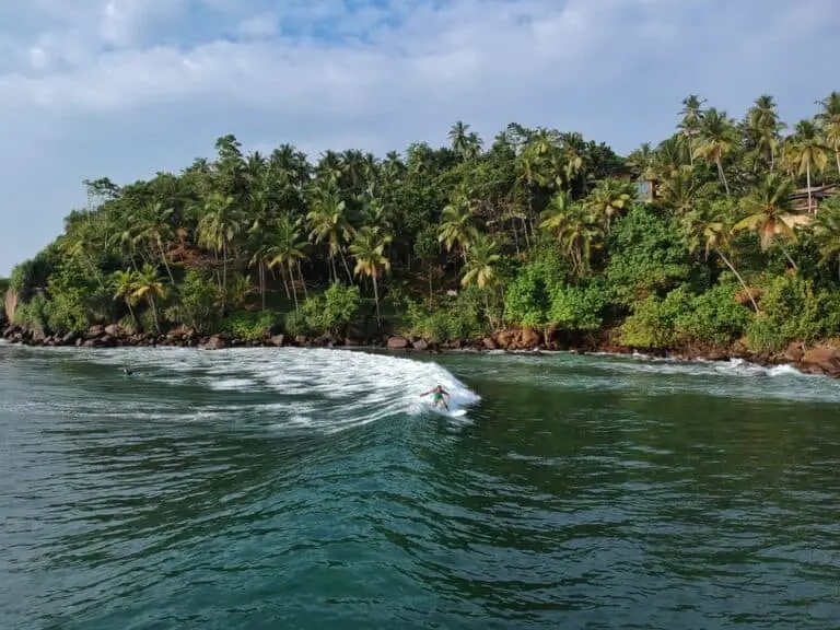Surfing Mirissa Sri Lanka