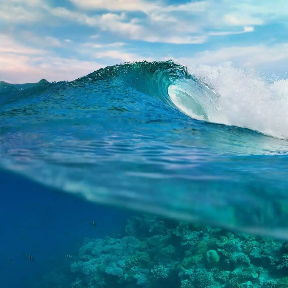 Surf Fiji