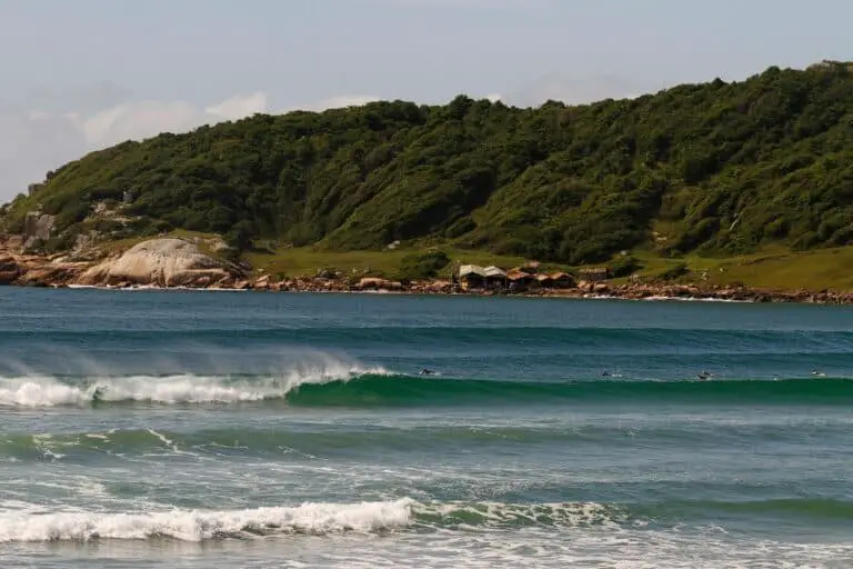 Surfing in Santa Catarina