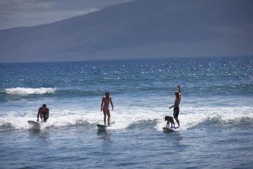 Top 10 Beginner Surf Breaks in Maui