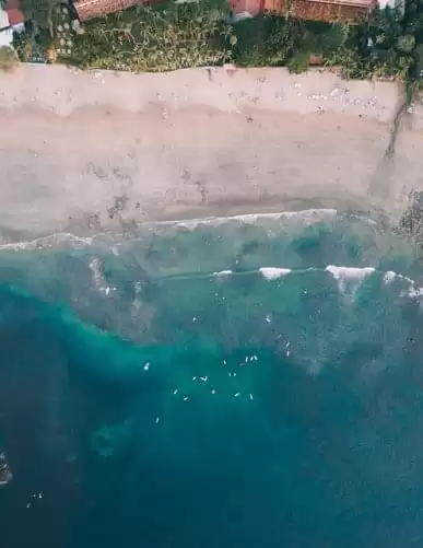 surfers waiting for a wave