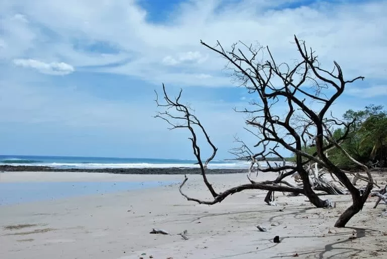 beach view