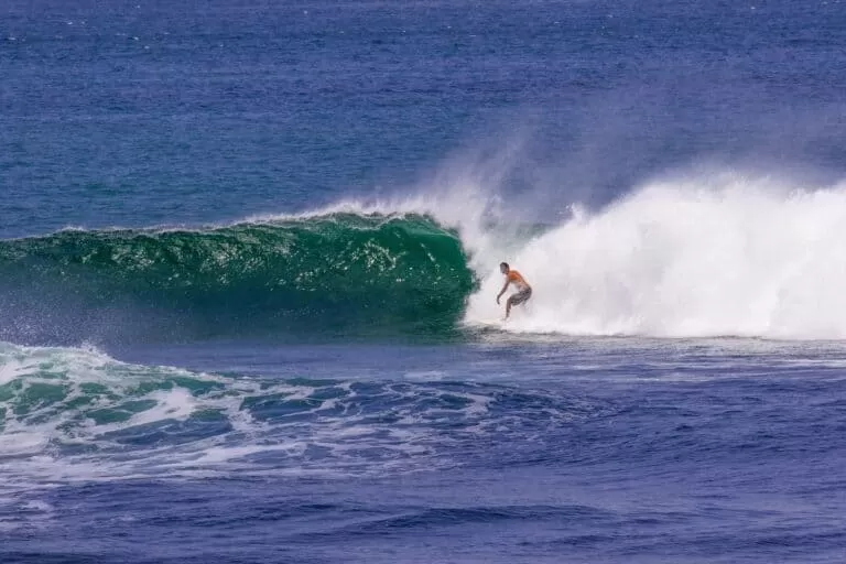 Surf Santa Catalina