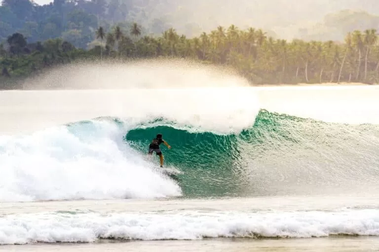 perfect Mentawai