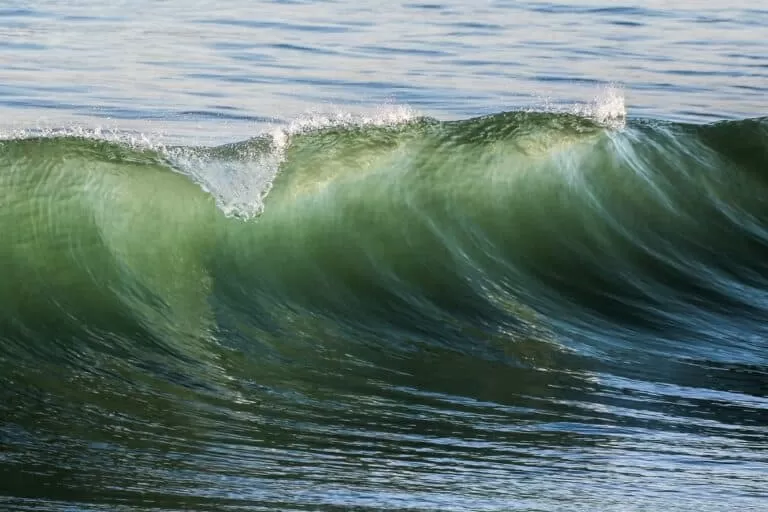 a wave in Durban