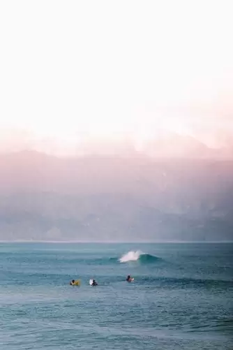 surfers waiting for a wave