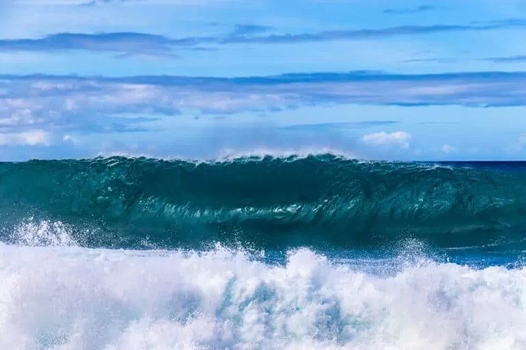Big Island Wave