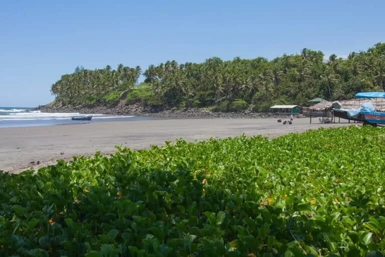 Las Flores Beach