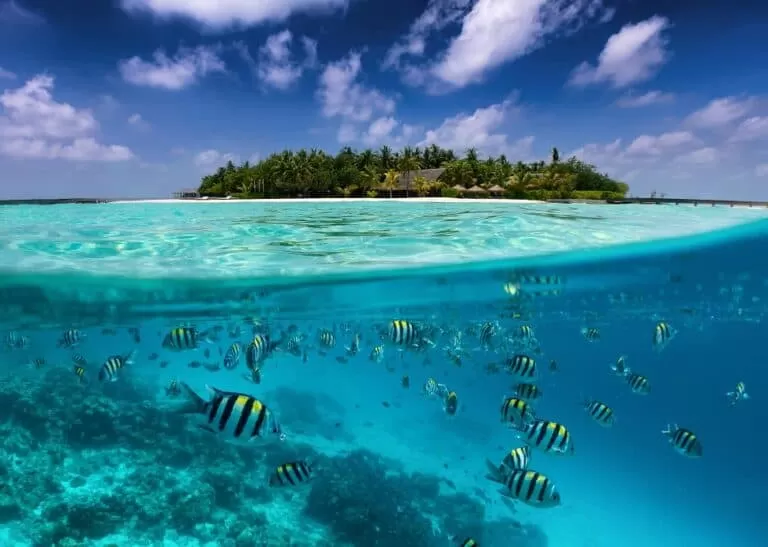 Beginner Surf Beaches in the Maldives Islands