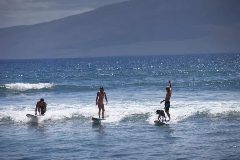 Beginner Surf Beach in Maui, Hawaii