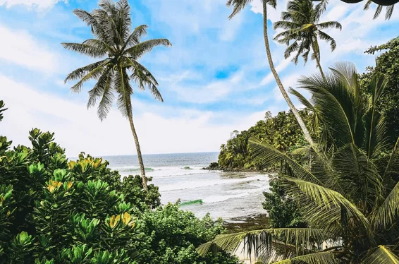 Surf Sea Breeze, Mirissa