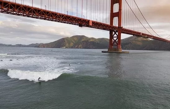 surf shops in San Francisco