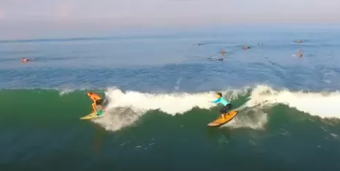 Endless Summer